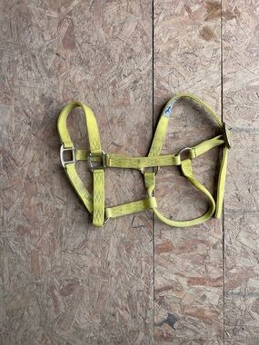 Hamilton Yellow Horse Halter